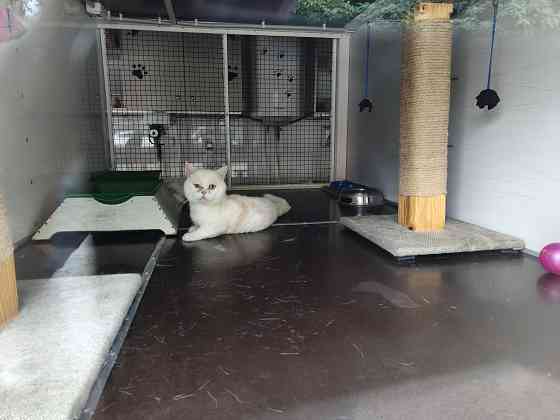 Продаж 1-поверховий Частина будинку з ділянкою 0.5 сот 42 кв.м 2 кімн. на Небесної сотні Zhytomyr