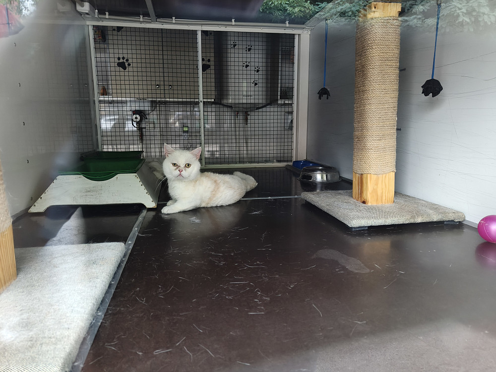 Продаж 1-поверховий Частина будинку з ділянкою 0.5 сот 42 кв.м 2 кімн. на Небесної сотні Zhytomyr - photo 3