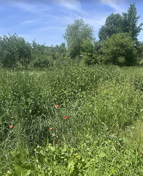 Продаж земельної ділянки 7 соток Великая Березовица - изображение 3