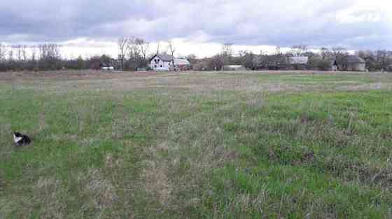 Продаж земельної ділянки 40 соток Городище (Іванківський район)