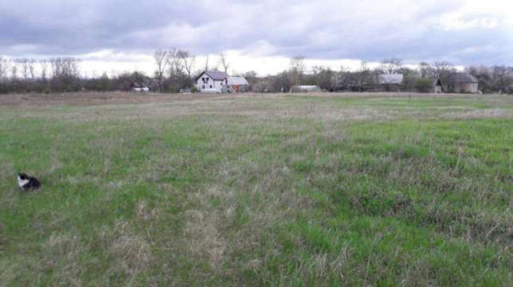 Продаж земельної ділянки 40 соток Городище (Іванківський район) - фото 1