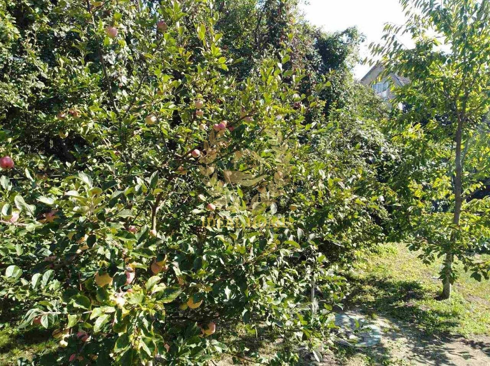 Продам двоповерховий дачний будинок поблизу с.Блиставиця  - фото 10