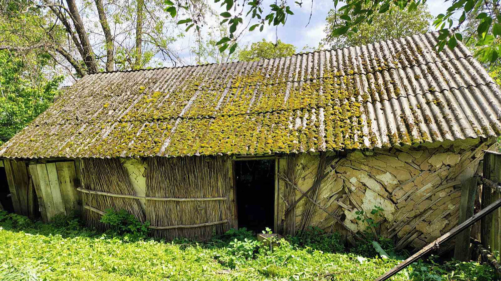 Продаж земельної ділянки 48 соток на Мічуріна  - изображение 9