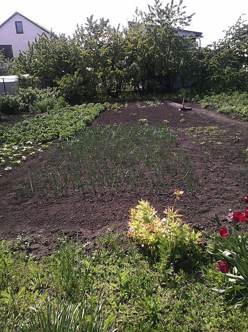 Продам фасадный участок 5.5 соток на Фонтане Одеса - фото 1