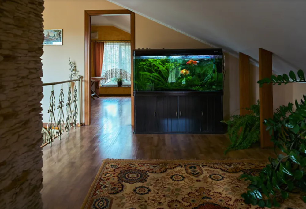 Дом Вузовский. Одесса - изображение 7