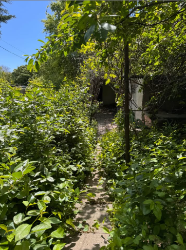 Продам дом на Даче Ковалевского (участок 3 сотки) Одеса - фото 15