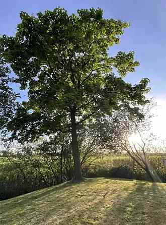 Продаж земельної ділянки 13 соток на Ожоженка Житомир