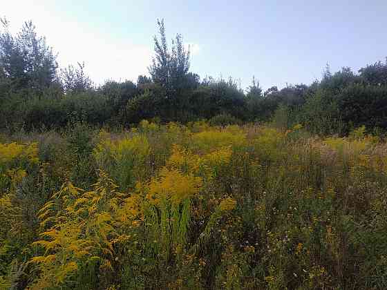 Продаж земельної ділянки 10 соток Pavlivka