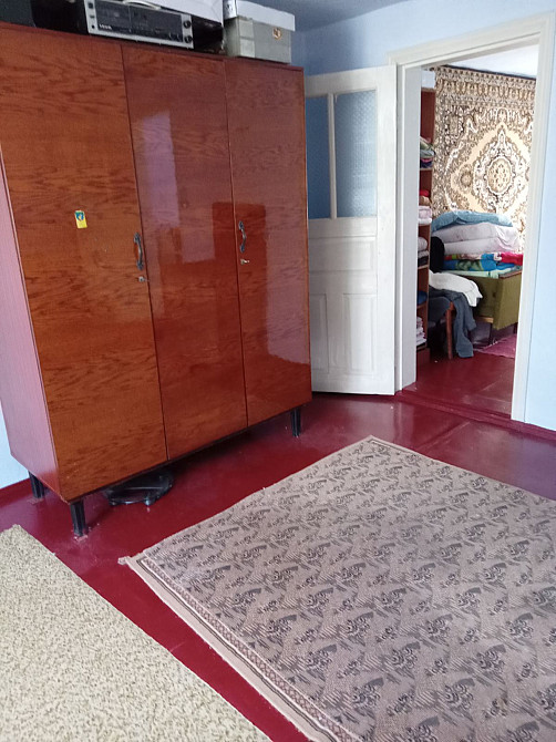 Продам дом с газом в с.Щербанка (Одесская обл., Раздельнянский р-н), 50 км от Одессы Щербанка - фото 16