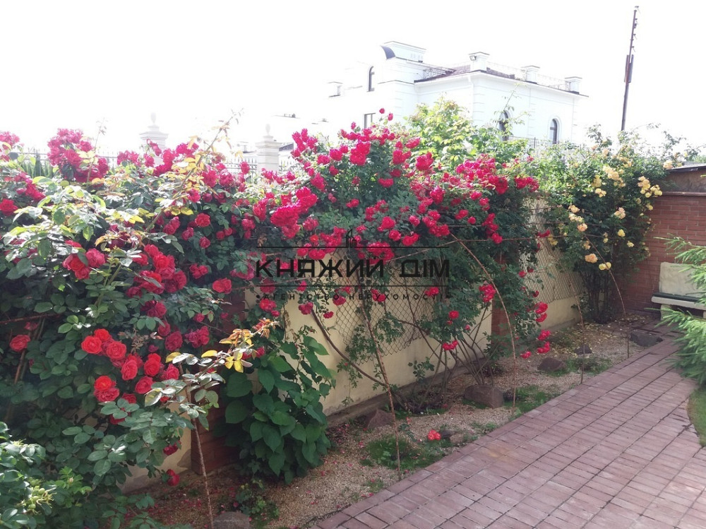 ЕСТЬ ГЕНЕРАТОР. Аренда дома 450 м2 в Лесниках по новобуховской трассе в 5 км от Киева.№ 135150  - фото 7