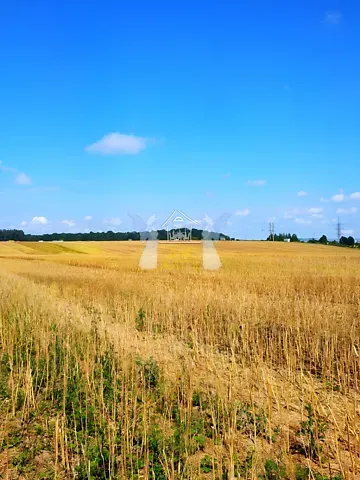 For sale land plot  area 18.5 ares Польова вулиця 1  - photo 3