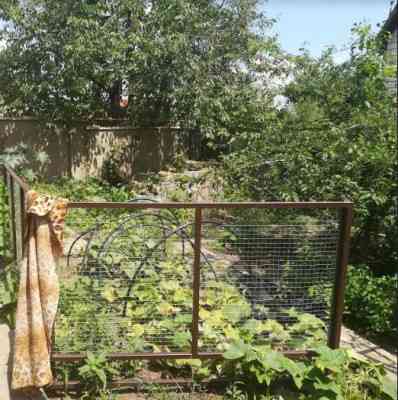 Продаж земельної ділянки 12 соток на ул. Одесская, 24 Санжейка