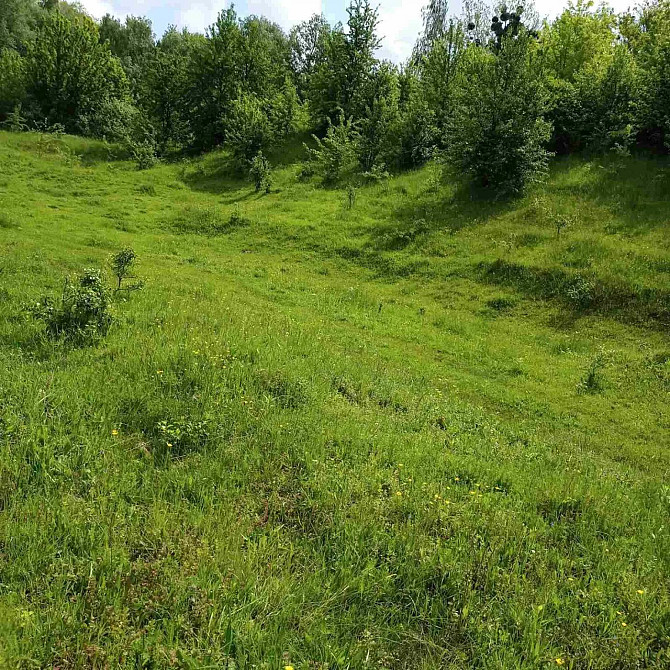 Продаж земельної ділянки — Стрийський район Стрий - фото 4
