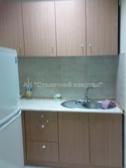 Оренда Будинок 12-кімнатний на Антоновича вул., 103А Київ - фото 6