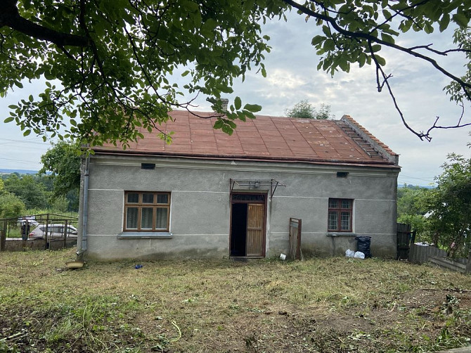 Продаж будинку житлова площа 48 м.кв. — Пустомитівський район Давидів - фото 1