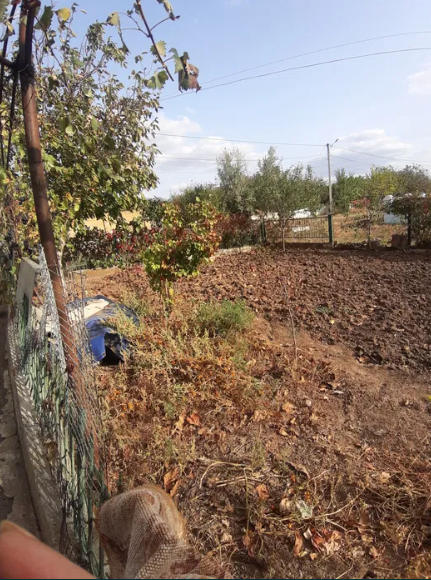 СРОЧНО!!!  Продам дом в с.Свердлово (с.Иваново, Одесская обл., Лиманский р-н) Андрієво-Іванове - фото 11