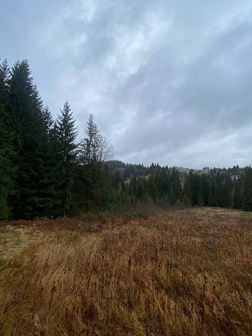 Продаж земельної ділянки 1 га  - photo 1