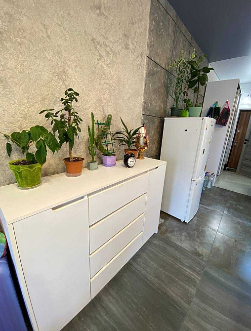 1-комнатная квартира с ремонтом Odessa - photo 3