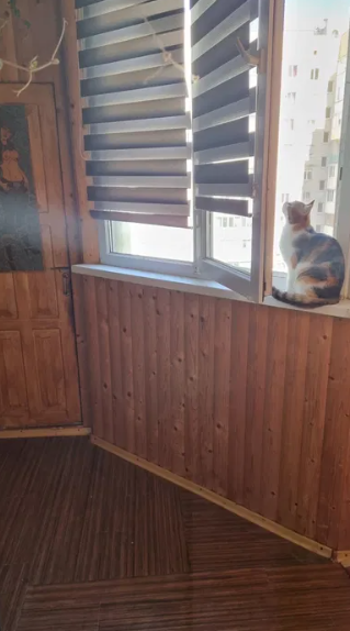 Продам 4-х комнатную квартиру с ремонтом на ул.Заболотного-Сахарова (п.Котовского) Одеса - фото 15