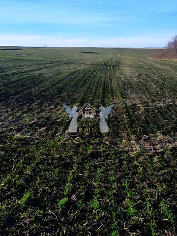 For sale land plot  area 22 ares Польова вулиця 1  - photo 9