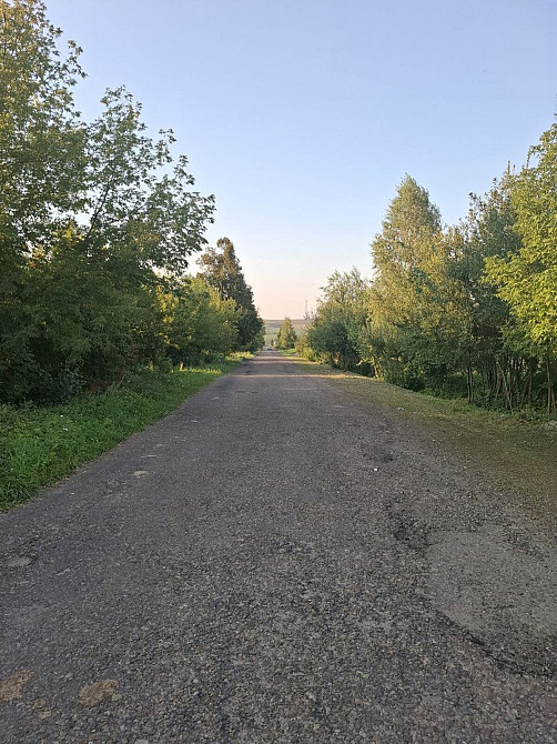 Продаж земельної ділянки 1 га Sadky - photo 7