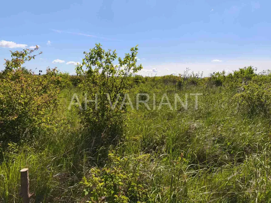 Продаж земельної ділянки Для сільськогосподарської діяльності площа 8 сот Польова Кінчеш - фото 12