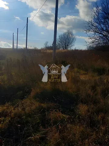 Продажа земельного участка  площадь 11 сот Січових Стрільців вулиця 1  - изображение 6