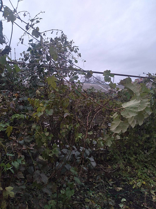 Дом на Геллера, 7 ст. Б. Фонтана Одеса - фото 6