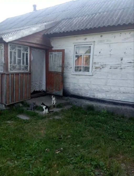 Продаж 1-поверховий Будинок з ділянкою 25 сот 32 кв.м 3 кімн. на Левків Zhytomyr - photo 4