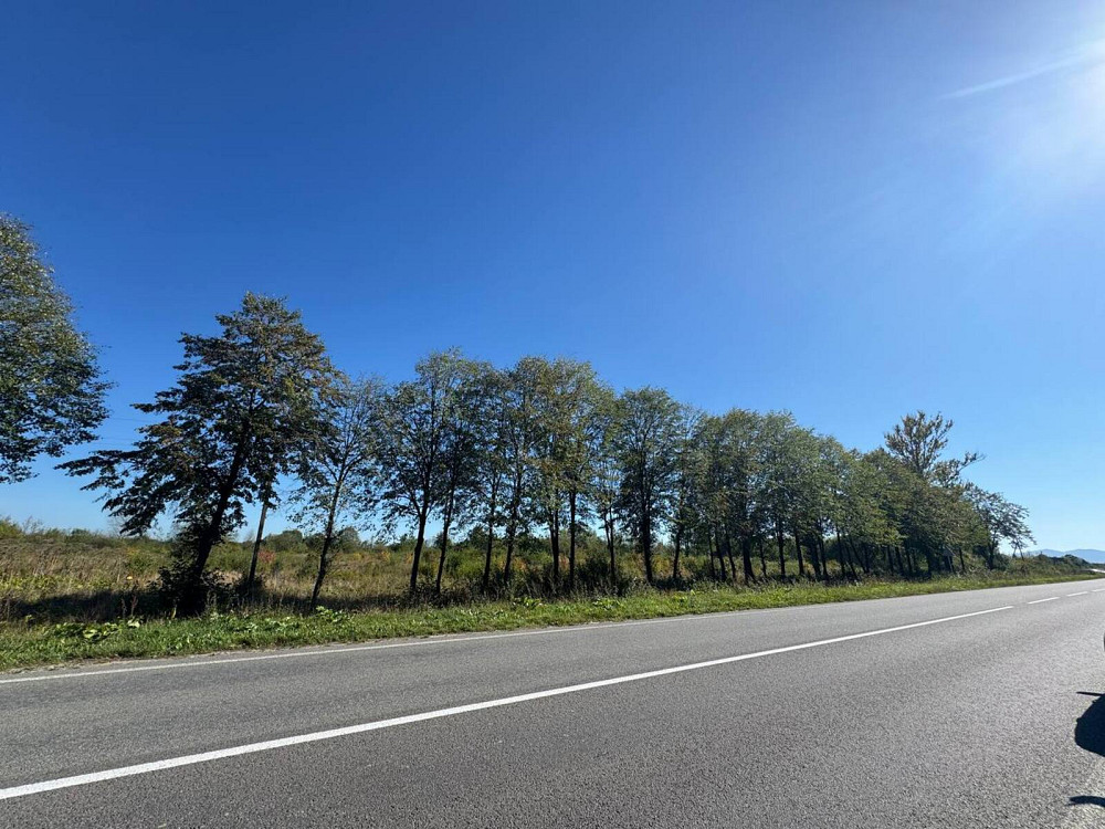 Продаж земельної ділянки 1.1 га Tsutsyliv - photo 7