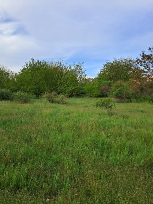 Продаж земельної ділянки 0.5 соток на ул. Черноморцев, 55а Сухий Лиман - изображение 7