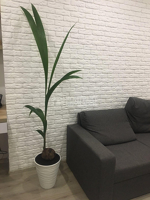 Продаж Квартира 1-кімнатна, 13/16 поверх на вул. Іскринська Kharkiv - photo 10