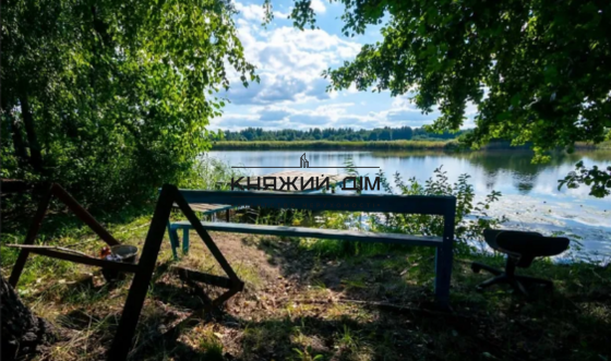 Продажа 1-но этажного дома с камином в Конче-Заспе. № 2211246 Козин (МИРОНІВСЬКИЙ район)