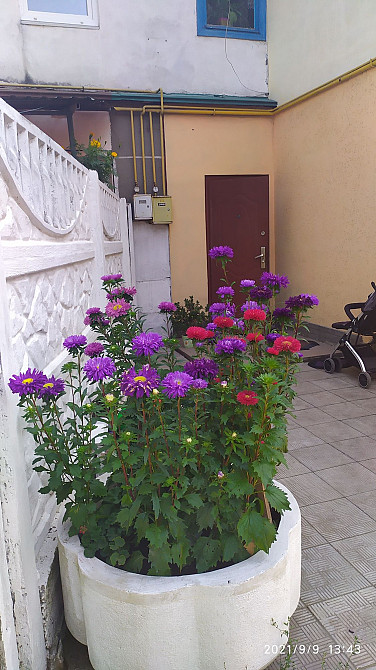 Продаж Квартира 2-кімнатна, 2/2 поверх на вул. Промислова Житомир - фото 11