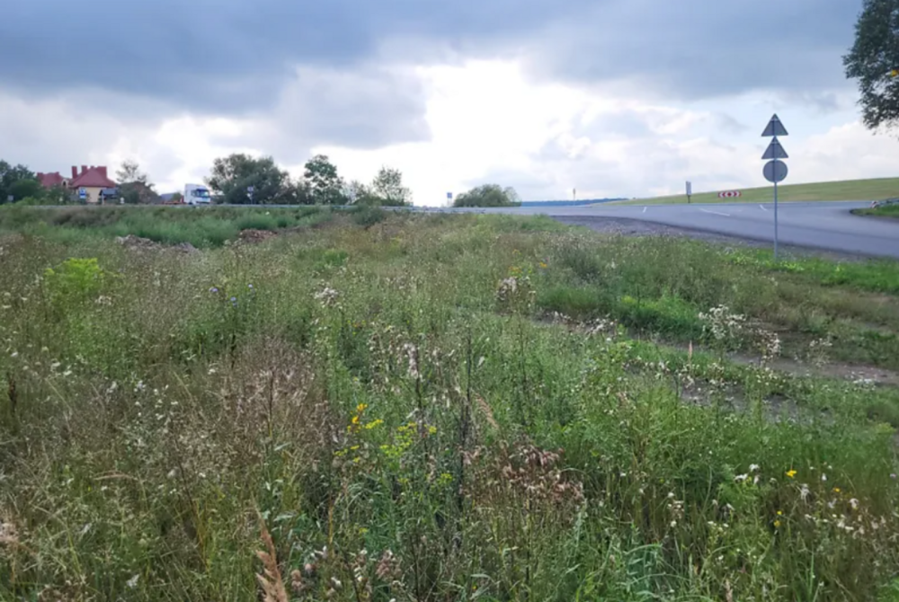 Продаж земельної ділянки 34 соток Baikivtsi - photo 2