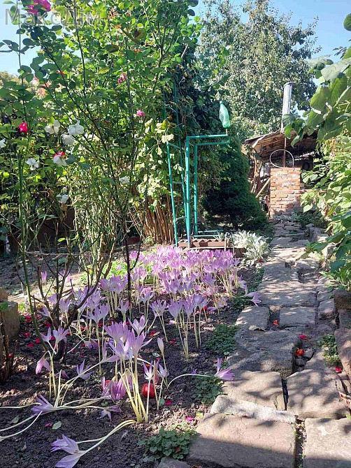 Продаж Будинок 4-кімнатний на вул. Мостова Тернополь - изображение 4