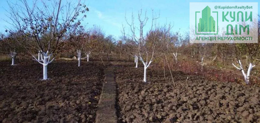 Продаж земельної ділянки 8 соток на АН Купи Дім Кропивницький - фото 3