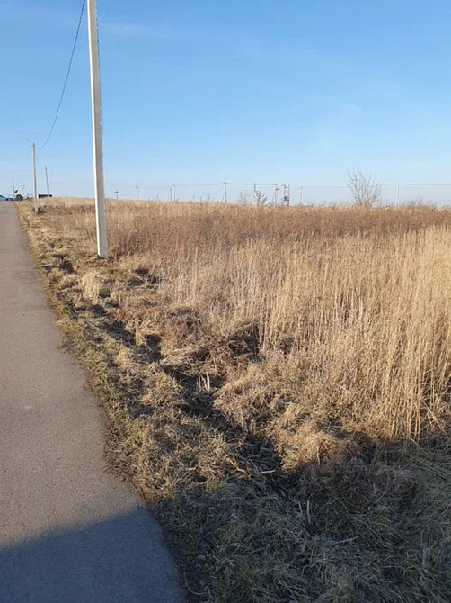 Продаж земельної ділянки 20 соток на Молодіжна Колодіївка - фото 4