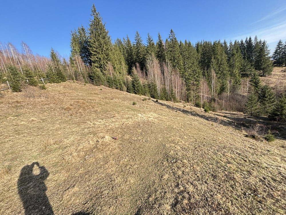 Продаж земельної ділянки 31 соток Verkhovyna - photo 9