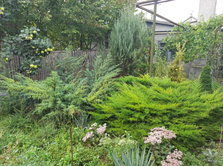 Продам два дома  в районе Большевик Одеса - фото 14