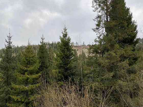 Продаж земельної ділянки 10 соток на вул. Під Митою Орявчик