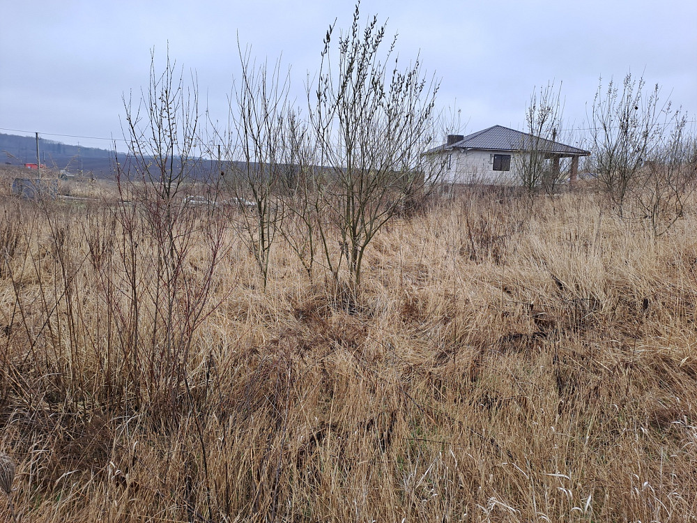 Продаж земельної ділянки 6 соток Тернопіль - фото 8