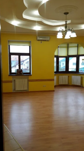 Продам 3-х этажный дом в Лесках Ліски (Комінтернівський район) - фото 10