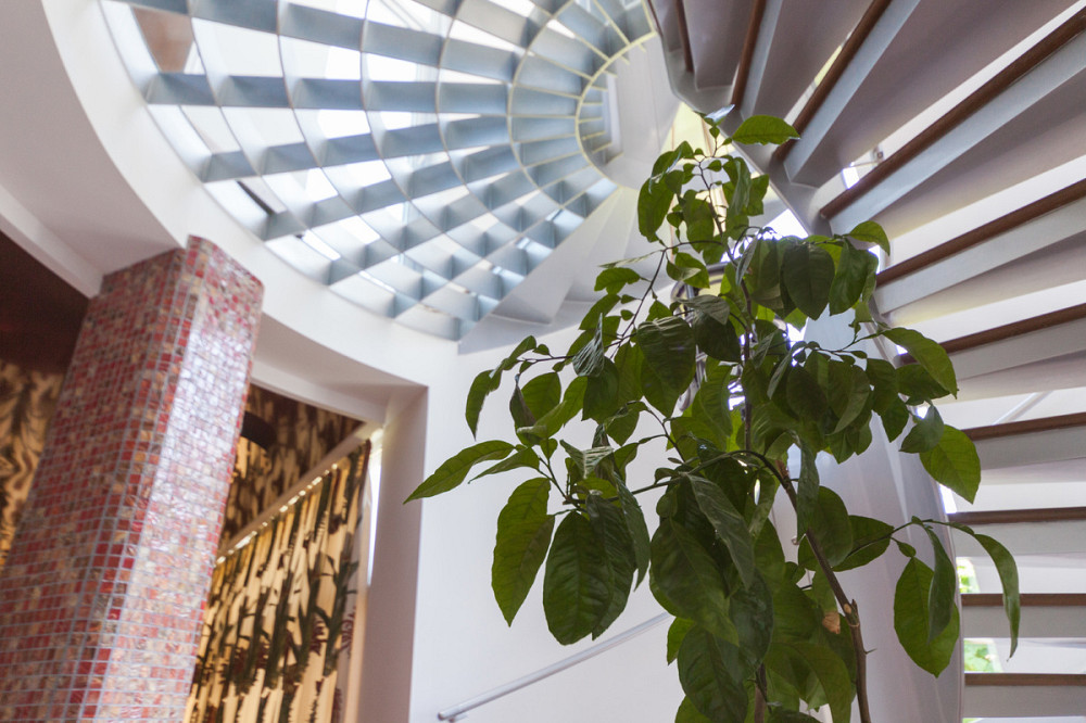 Оренда Будинок на Дачный 1 пер. Odessa - photo 19