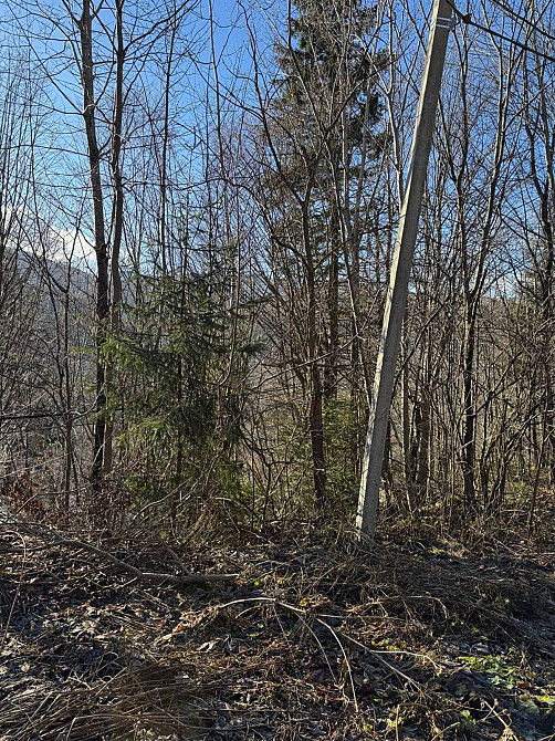 Продаж земельної ділянки 24 соток на Свободі Yaremche - photo 12