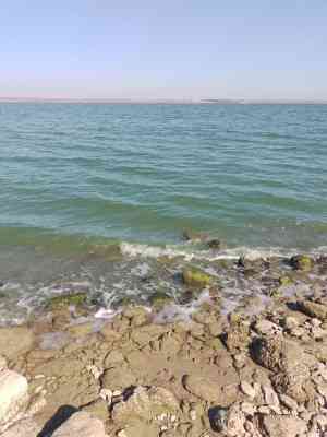 Продаж земельної ділянки 0.1 соток на ул. ул. Бузкова Долина (ДСТ "Витамин"), 28а Нерубайське