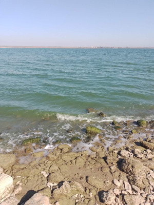 Продаж земельної ділянки 0.1 соток на ул. ул. Бузкова Долина (ДСТ "Витамин"), 28а Нерубайське - фото 2