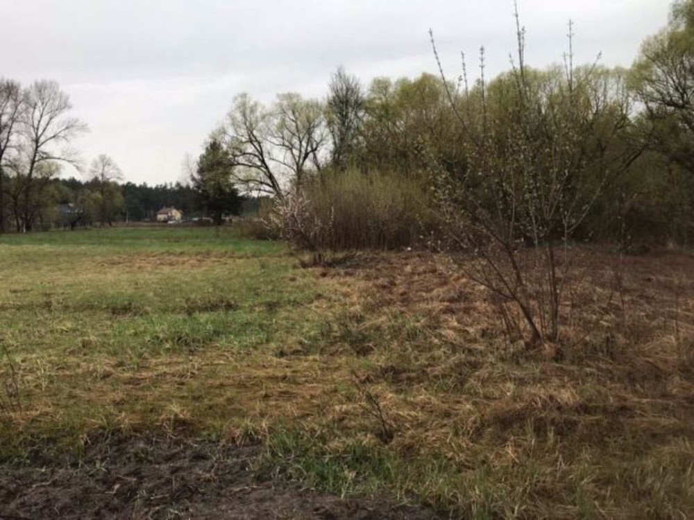 Продаж земельної ділянки 41 соток на Комсомольская Проців - фото 4