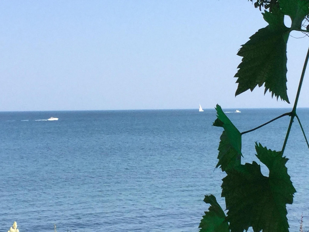 Дом - дача на первой линии моря - Дача Ковалевского! Одеса - фото 16