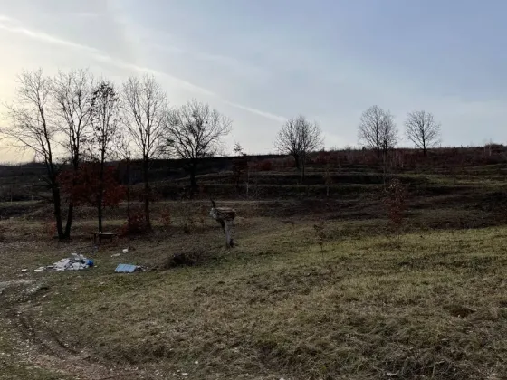 Продаж земельної ділянки Для сільськогосподарської діяльності площа 60 сот урочище «Тераса» Середнє